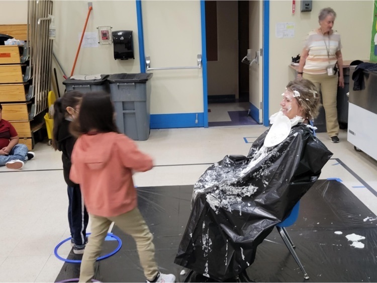 Mrs row pie in the face